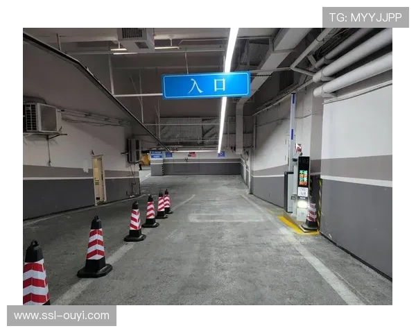 智慧停车系统引导车辆停放 缓解场馆周边交通压力 智慧停车系统引导车辆停放 缓解场馆周边交通压力